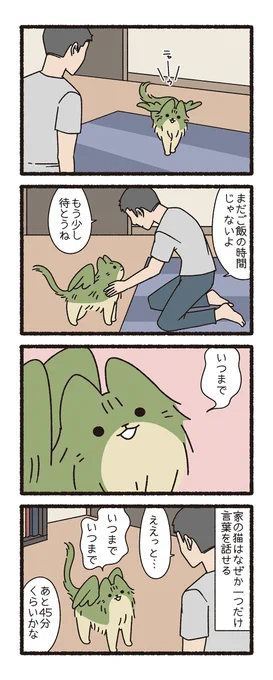 ねこようかい いつまで 