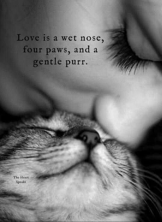 POSITIVITY tweet media