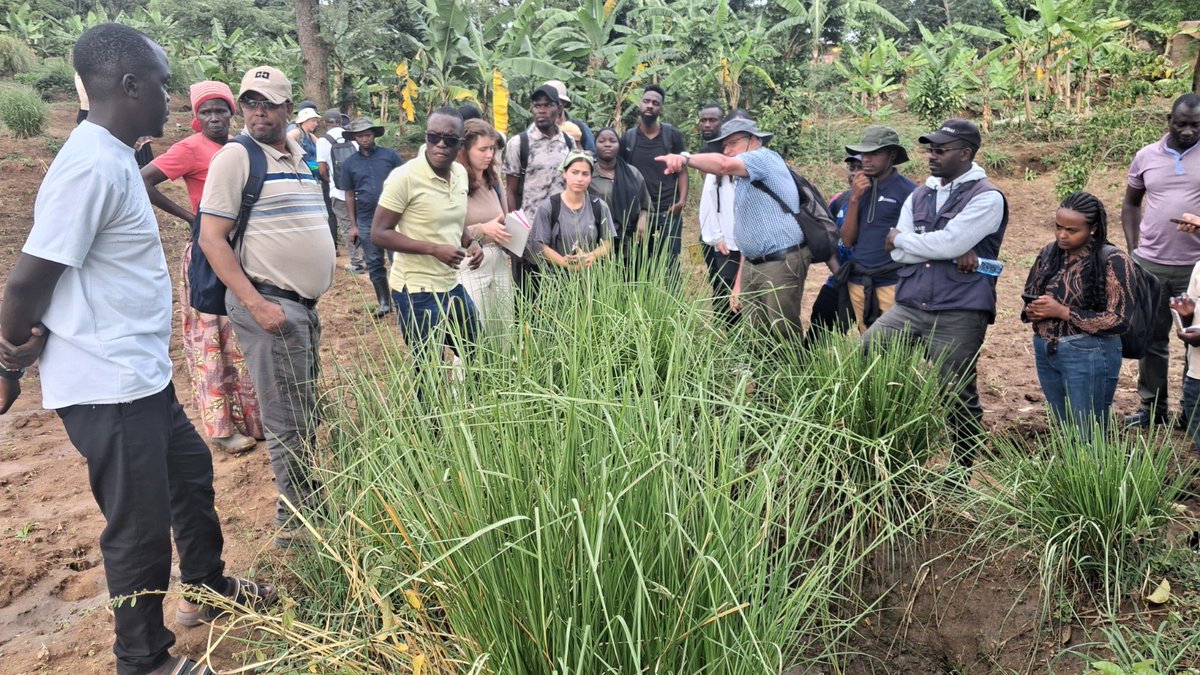 MakCEDAT's tweet photo. @MakCEDAT students and staff @MakerereU completed an intensive fieldwork in Uganda’s Manafwa Catchment under the #DIGITWATER Project. From hydrology & water quality to nature-based solutions, they’re turning data into sustainable strategies for Africa’s water future. https://t.co/3v2NKY05rF