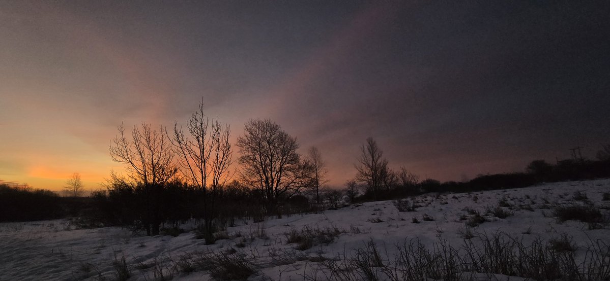 Corbin by the Coast 🇨🇦 tweet media