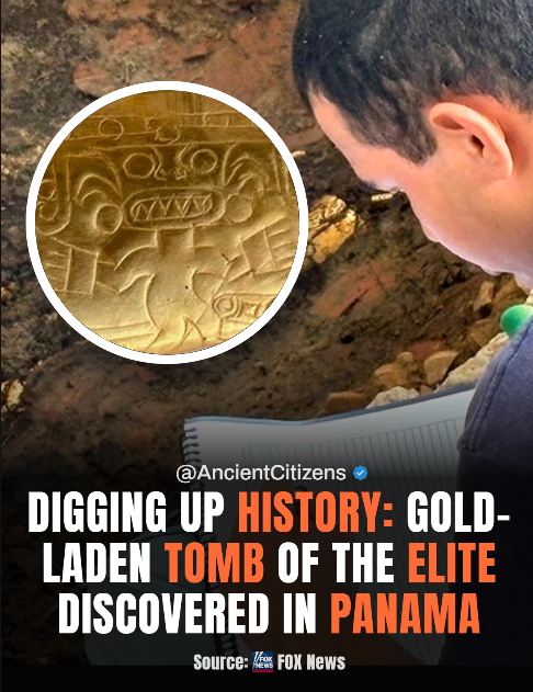 Ancient Citizens tweet media