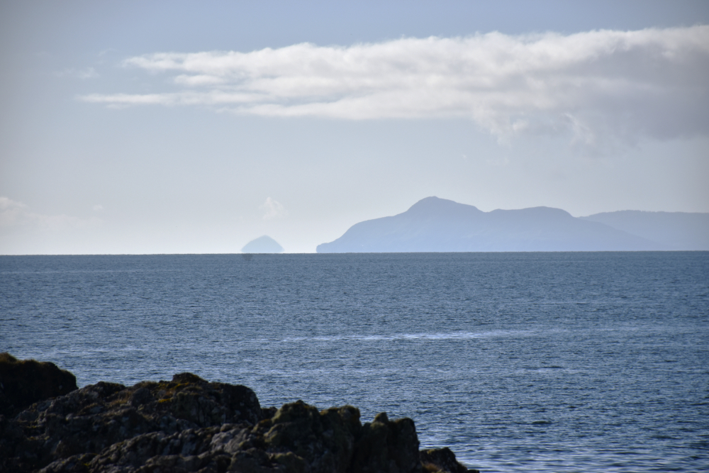 Jack Montgomery Writer tweet media