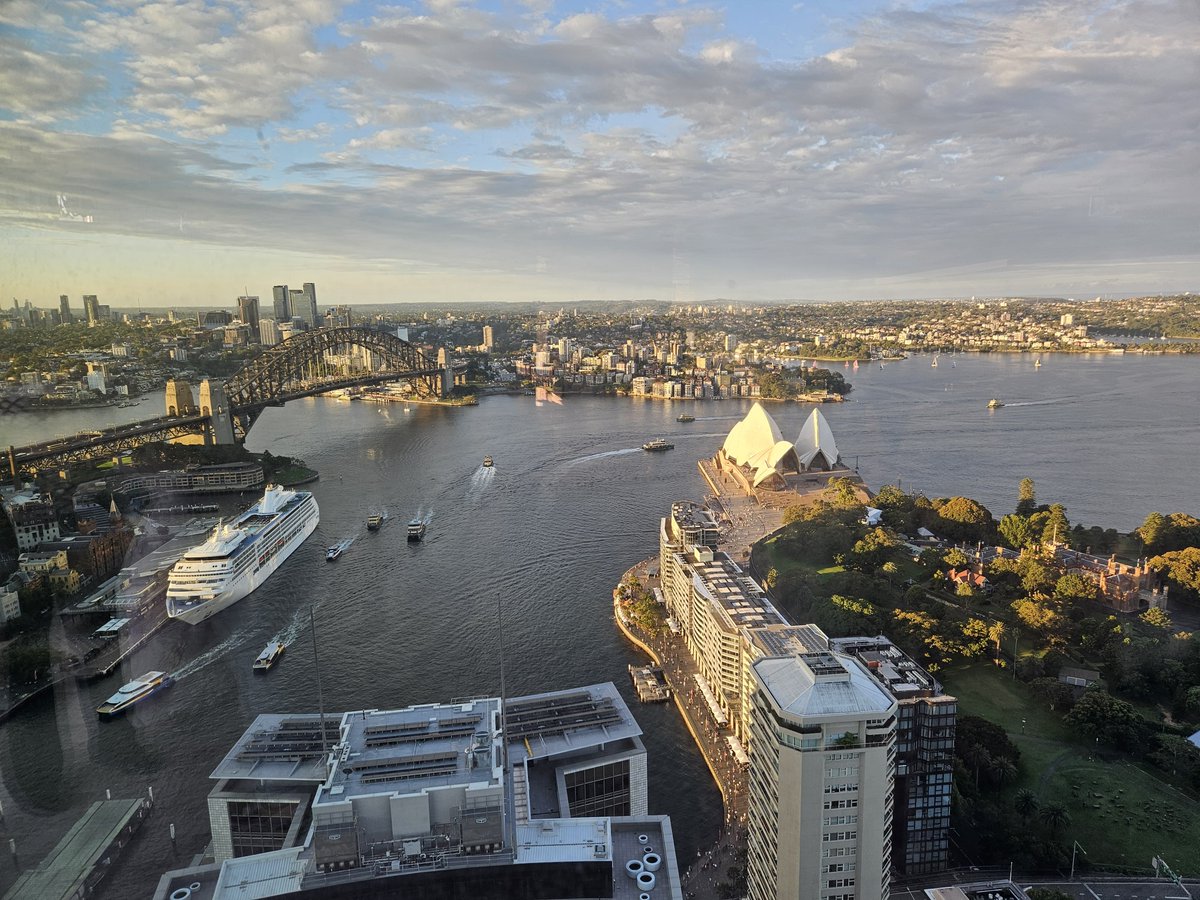 Iona Italia, PhD 🇦🇺 tweet media