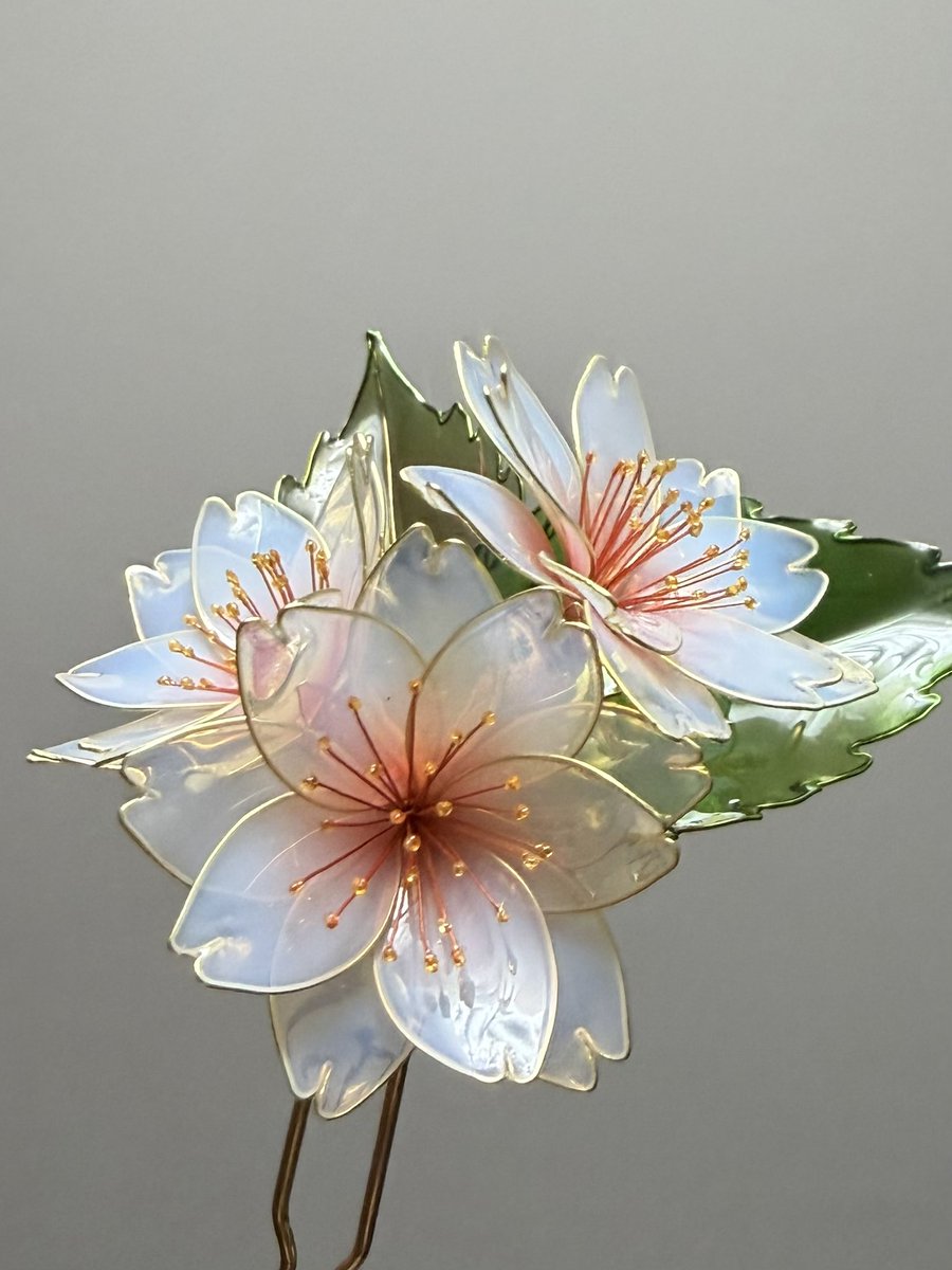 saionarrow's tweet photo. 八重桜 〜花重〜 https://t.co/xloURyT0BM