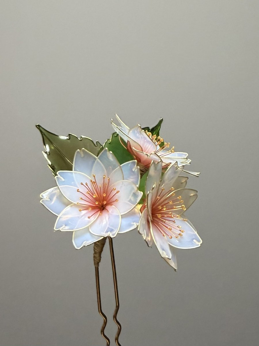 saionarrow's tweet photo. 八重桜 〜花重〜 https://t.co/xloURyT0BM