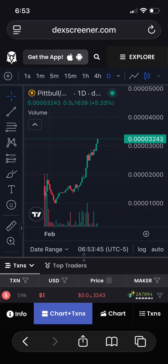 Pittbull on Pulsechain (@pittbull_pls) on Twitter photo 