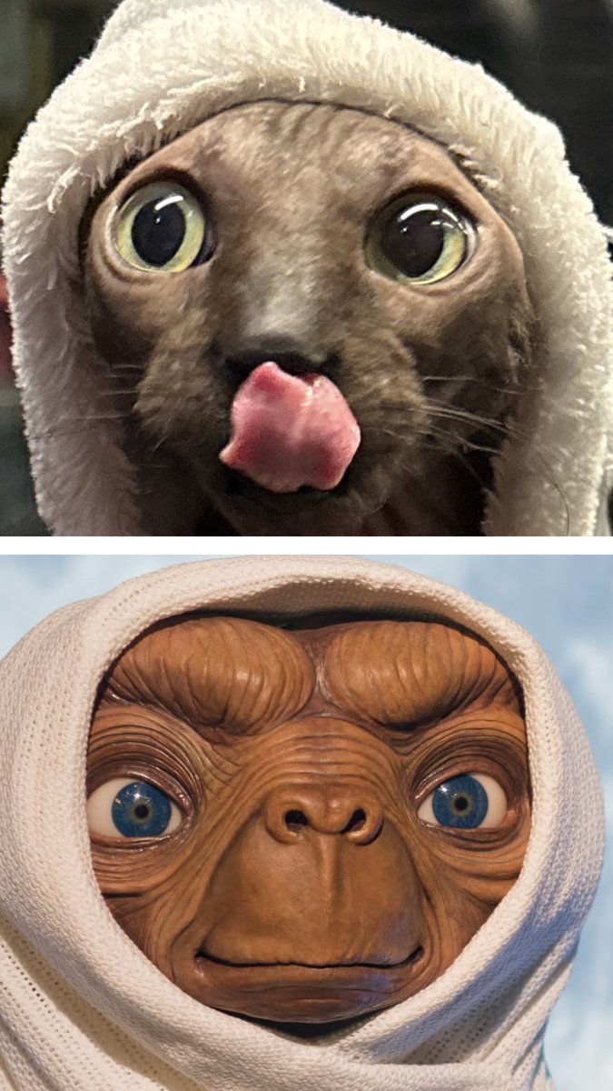 Tylus💫 tweet media