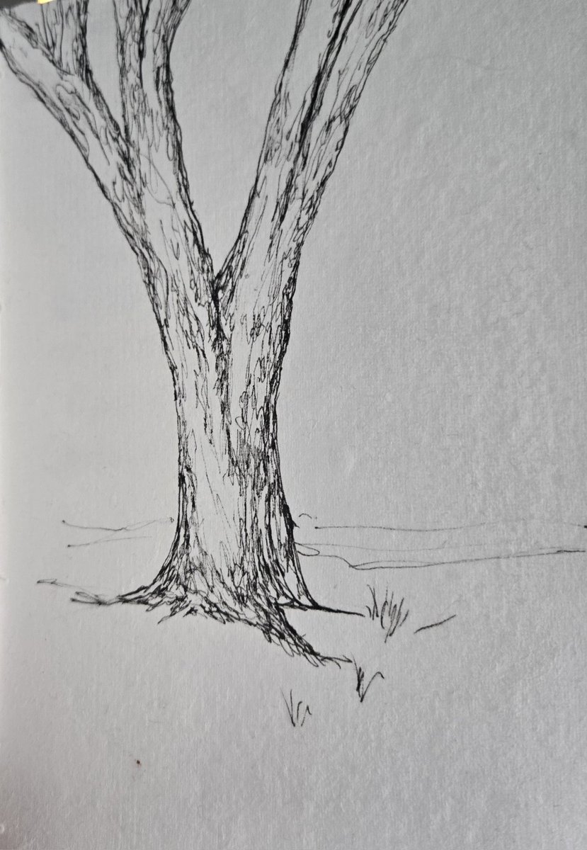 Corbin by the Coast 🇨🇦 tweet media