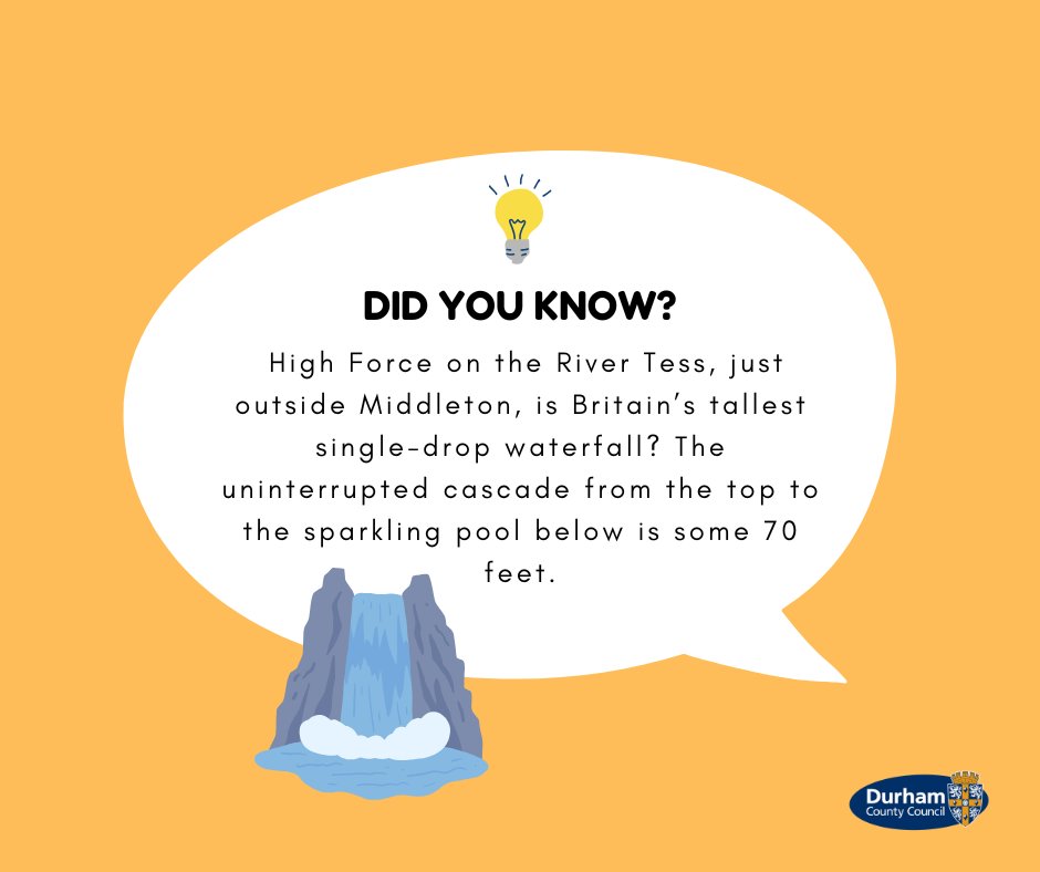 County Durham Libraries tweet media