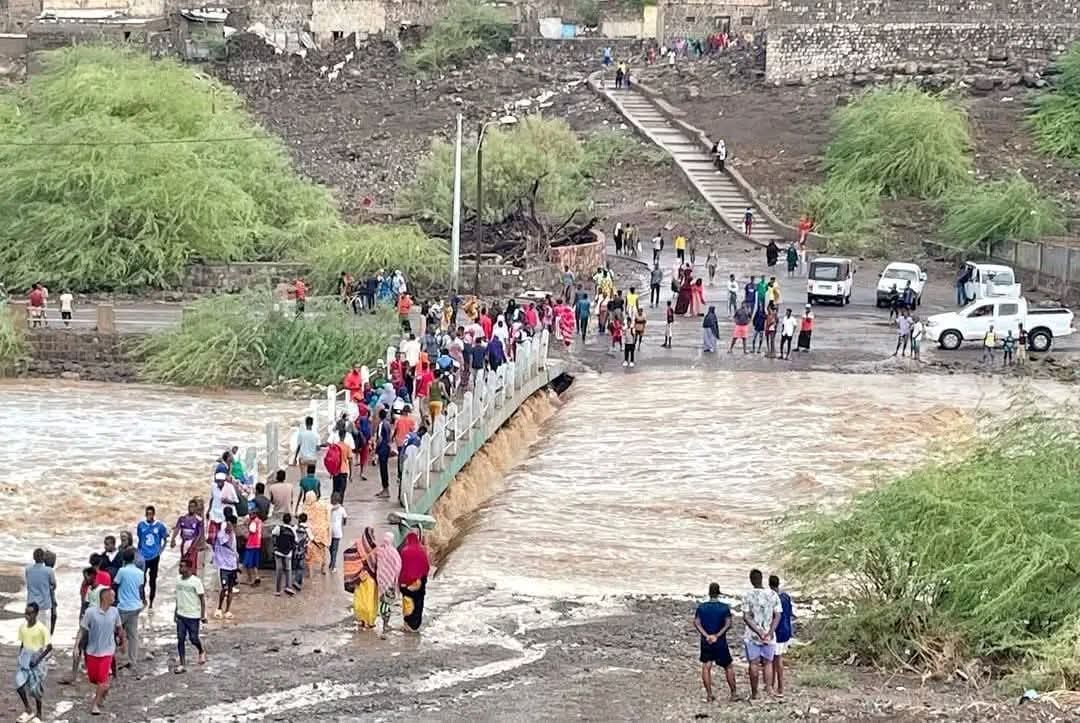 Djibouti Ports & Free Zones Authority tweet media