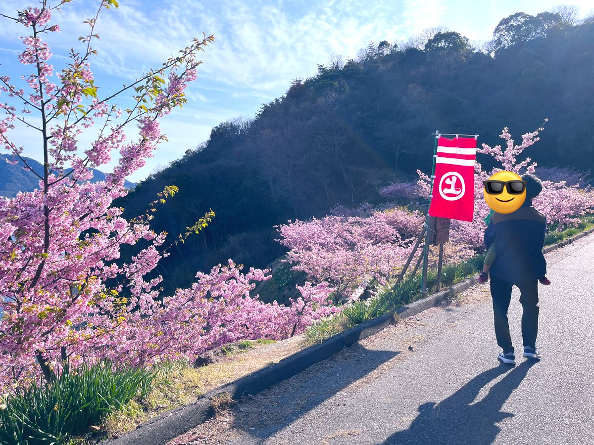 yellowblue0728's tweet photo. 寒かったですが、確実に春が来ました🌸
毎年の楽しみになっています。
この下の浜辺もお気に入り。

 #因島 https://t.co/Gjg2QvntqU