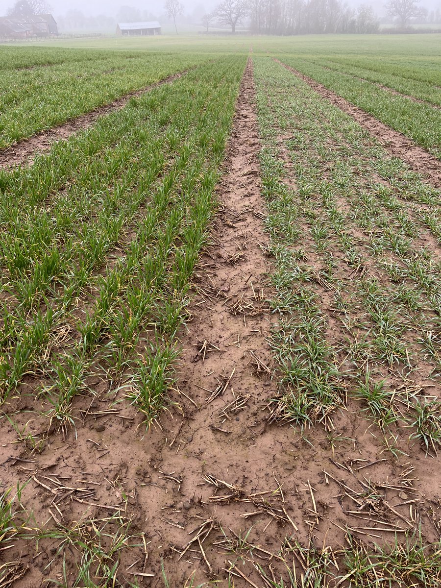 Gareth Bubb tweet media