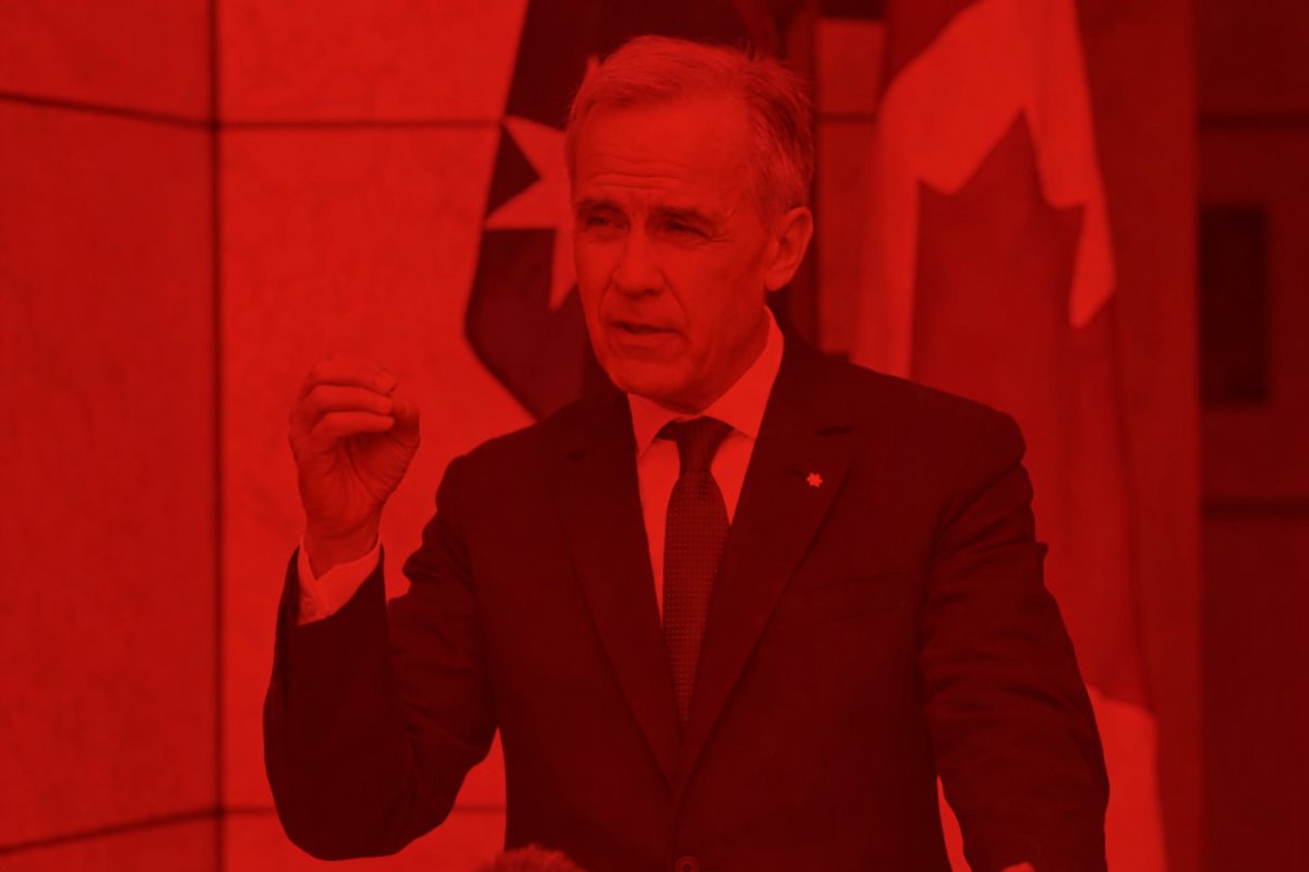 Abacus Data tweet media