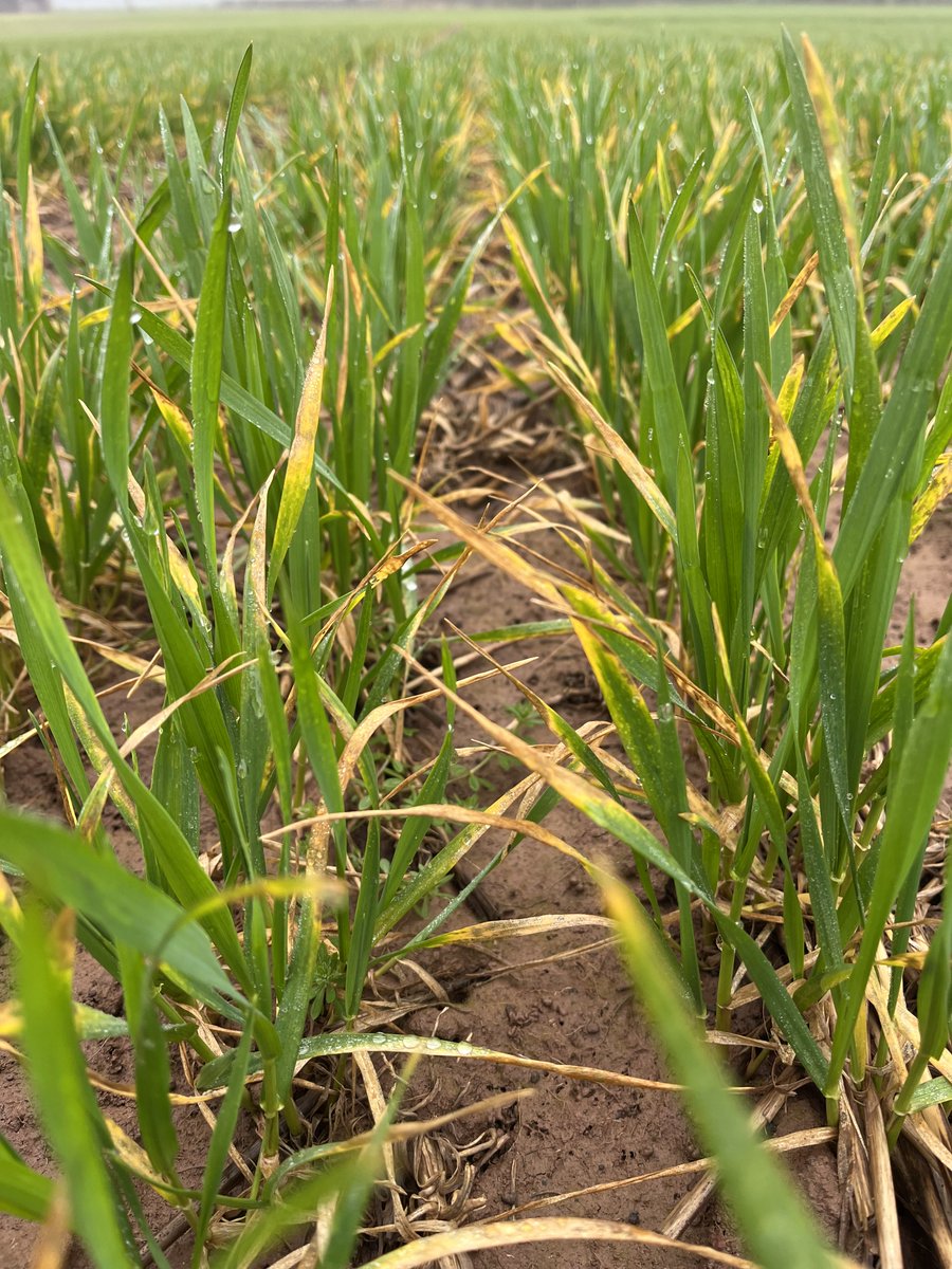 Gareth Bubb tweet media