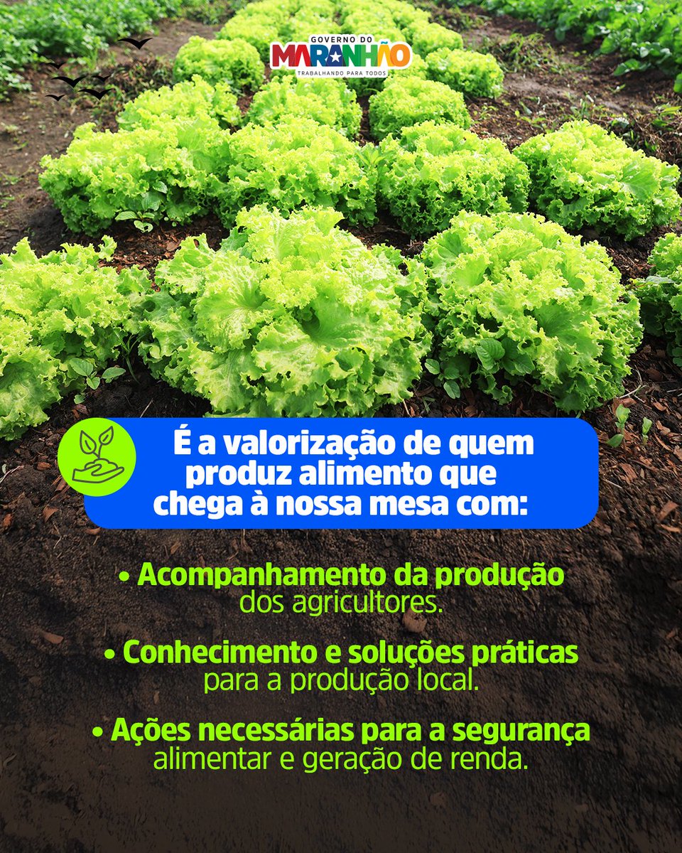 GovernoMA's tweet image. 👏 Um trabalho que valoriza o serviço dos agricultores que fazem chegar o alimento na mesa dos maranhenses.

#AgricultoraMa #GovMa