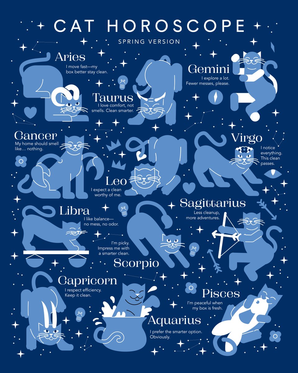 Boxiecat tweet media