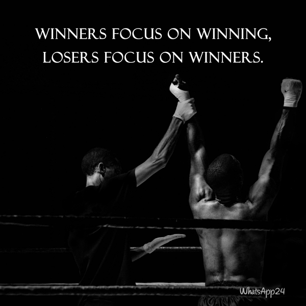 Mindful Maven tweet media