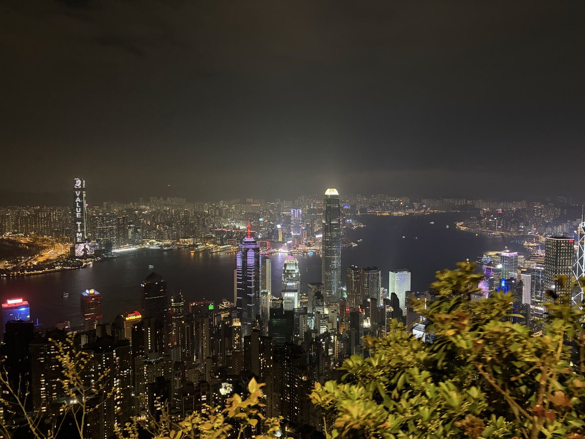 JackStocker26's tweet photo. Is there anyone in Hong Kong that would want to go half’s with me on a chinchilla 🇭🇰 https://t.co/lcW63M73PU