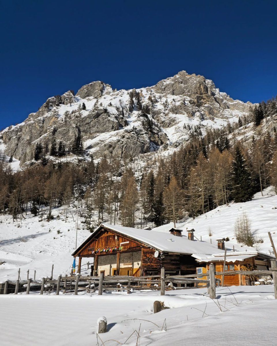 TurismoFVG tweet media