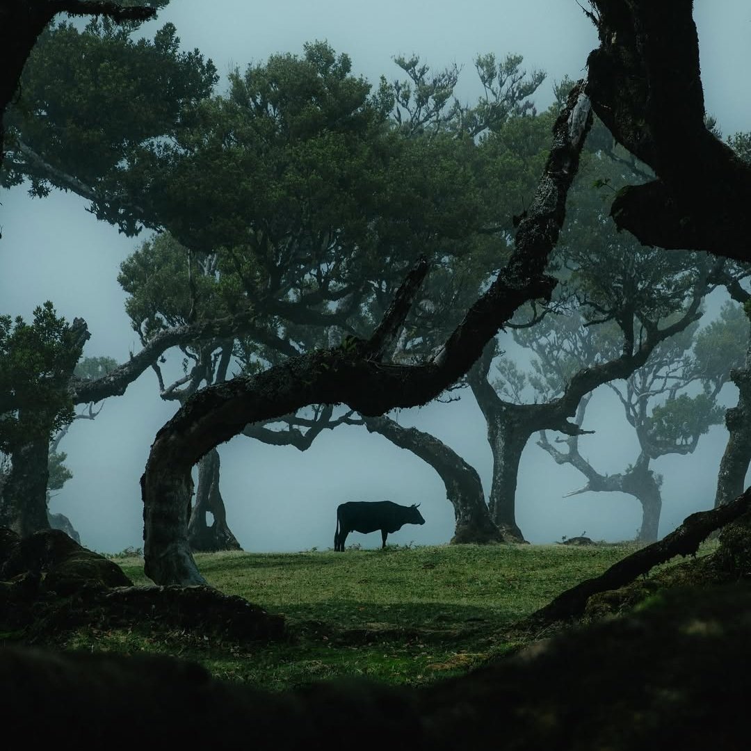 𝘄𝗮𝗻𝗱𝗲𝗿𝘁𝗿𝗮𝘃𝗲𝗹𝘀 tweet media