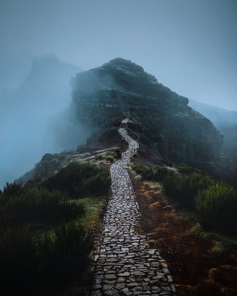 𝘄𝗮𝗻𝗱𝗲𝗿𝘁𝗿𝗮𝘃𝗲𝗹𝘀 tweet media