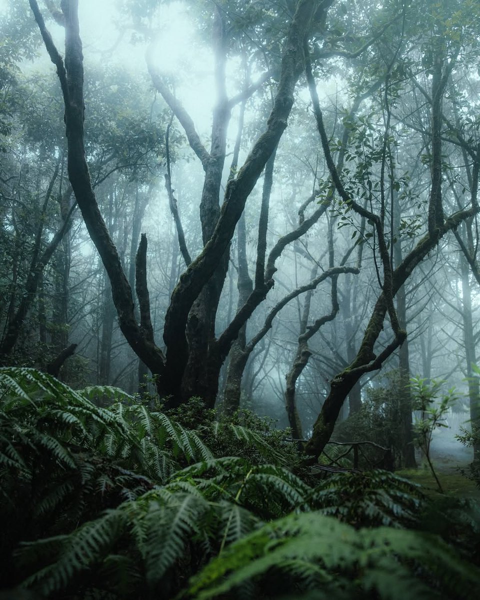 𝘄𝗮𝗻𝗱𝗲𝗿𝘁𝗿𝗮𝘃𝗲𝗹𝘀 tweet media