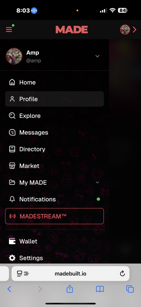 Amp 🇵🇷 tweet media