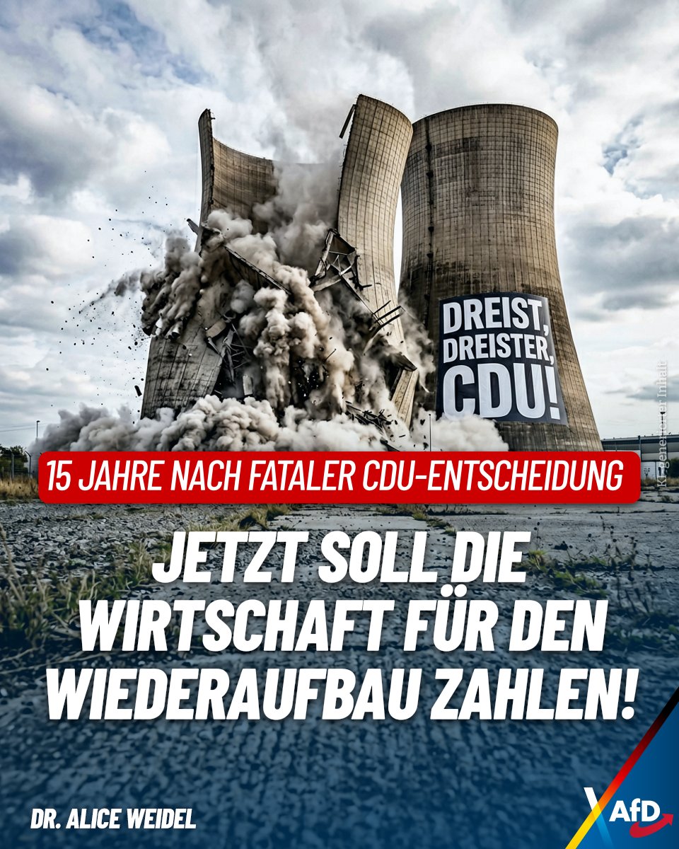 Alice Weidel tweet media