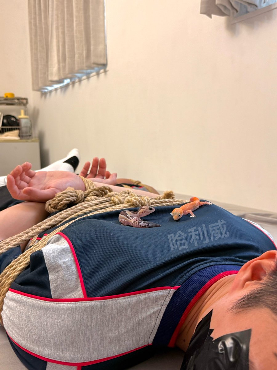 哈利威 tweet media