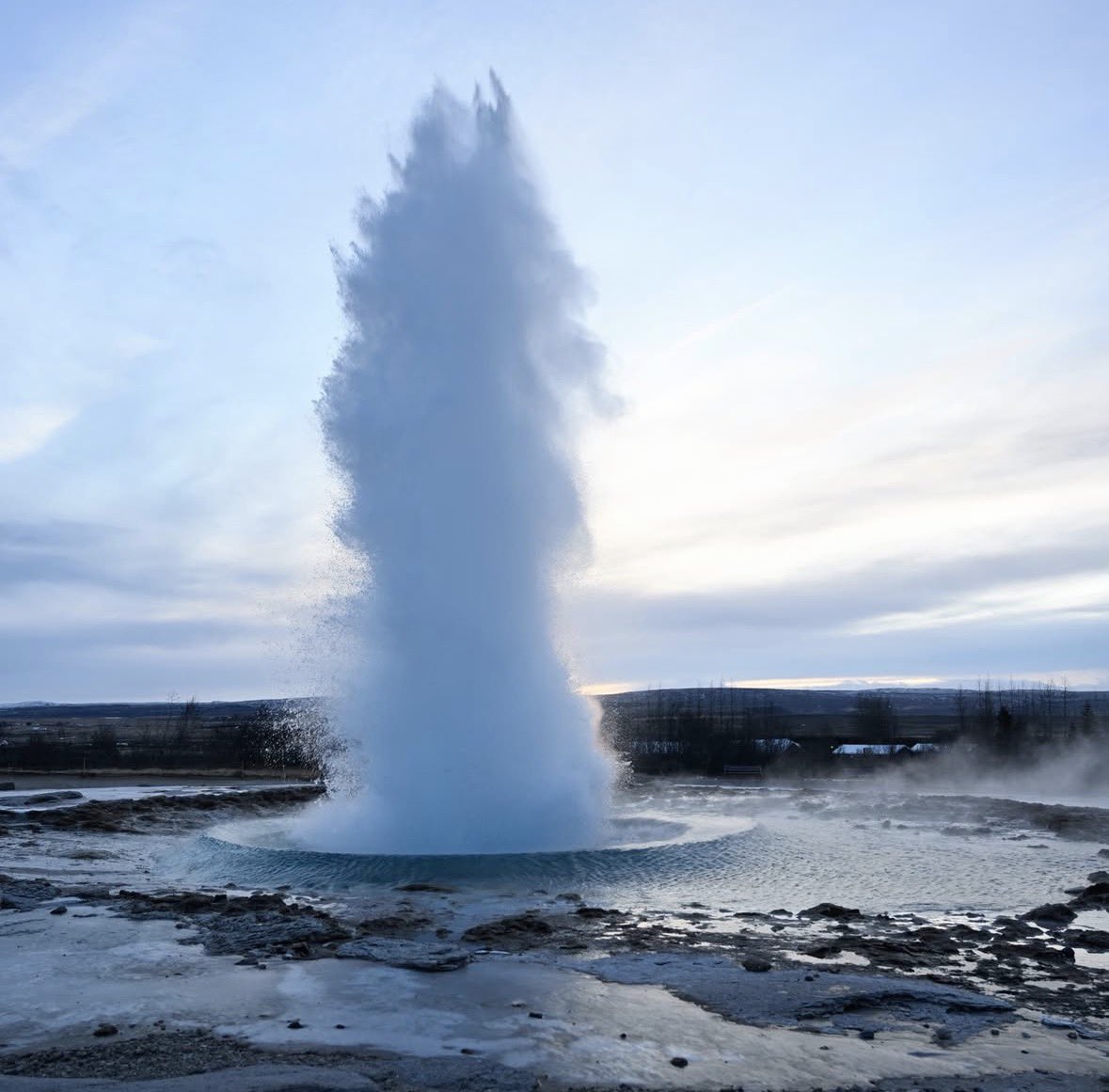 SheClicks tweet media