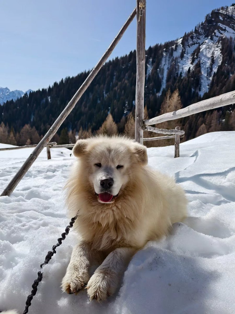 TurismoFVG tweet media