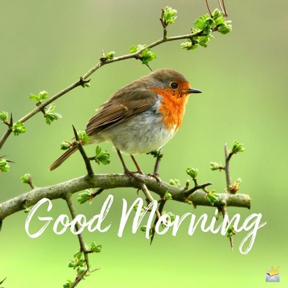 Franny Reilly tweet media