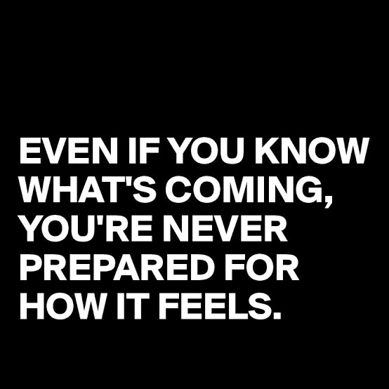 Bexley Ray tweet media