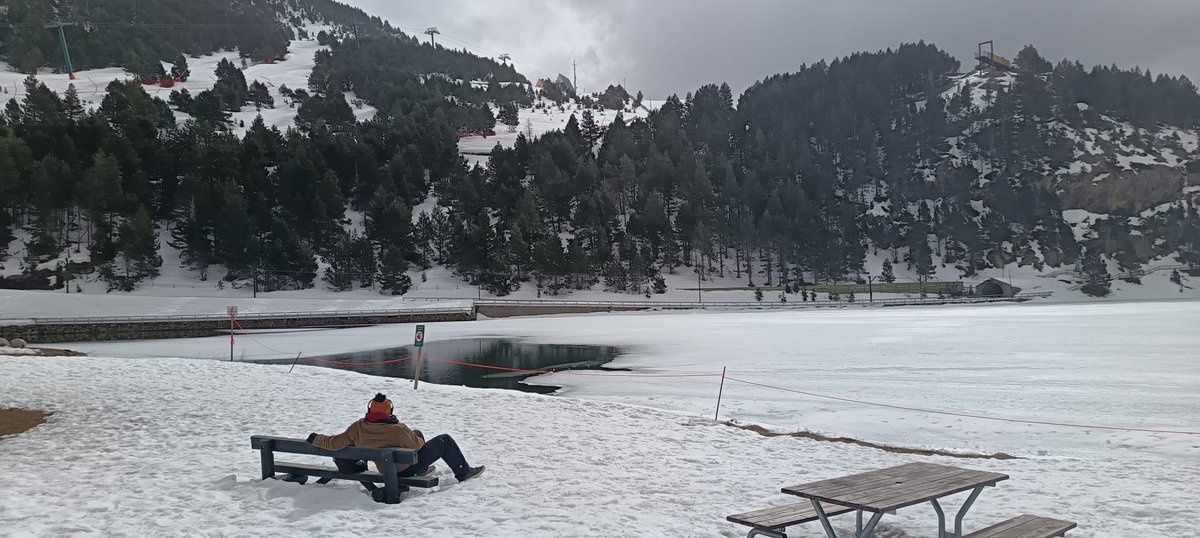 Fundació Acollida i Esperança tweet media