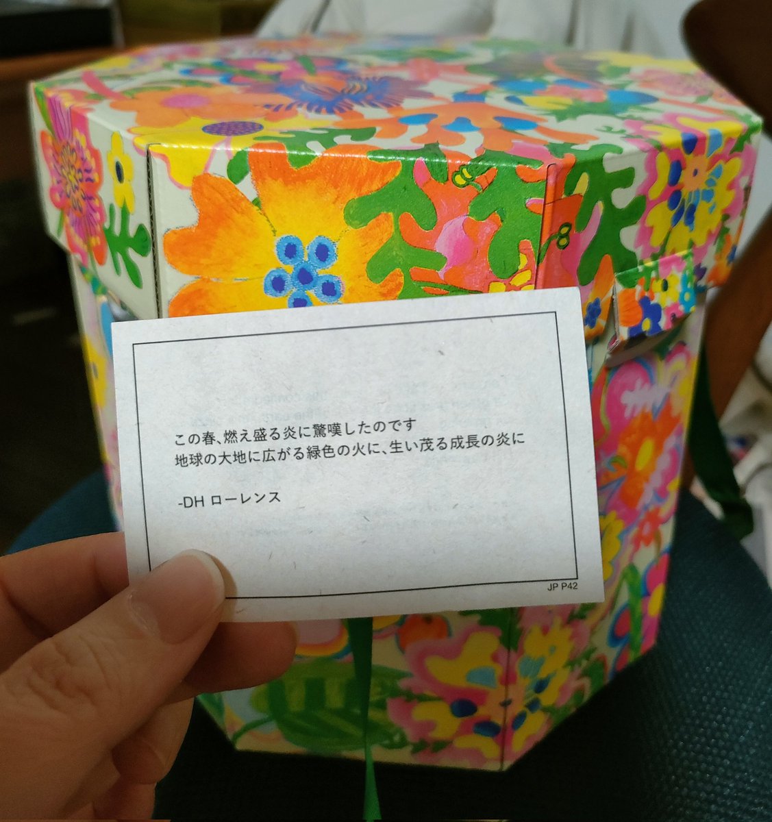 テトラ☆ポッケ tweet media