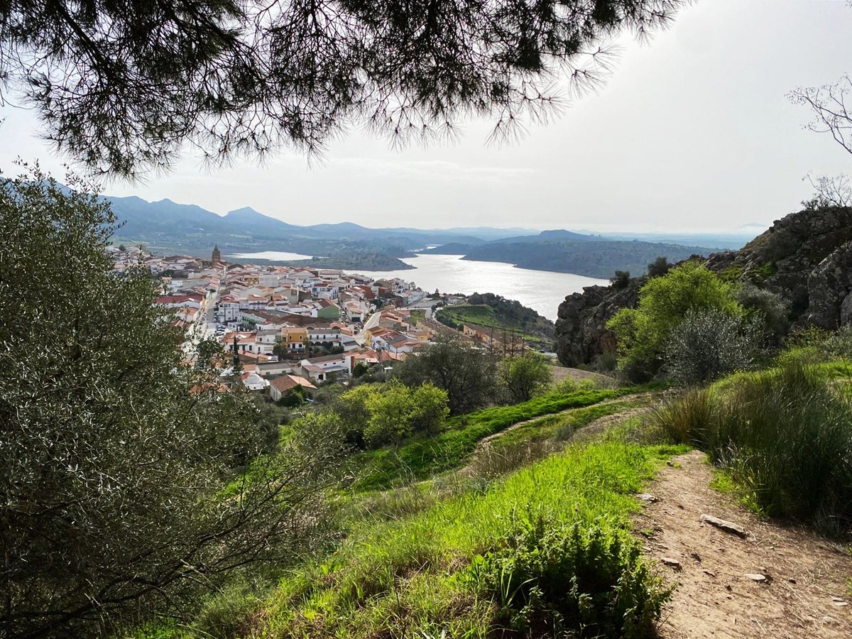 BIRDING IN EXTREMADURA tweet media