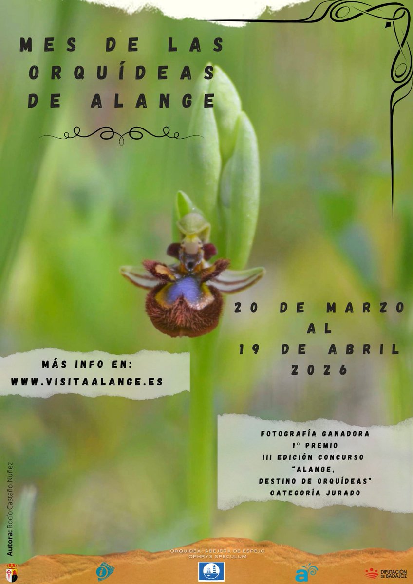 BIRDING IN EXTREMADURA tweet media