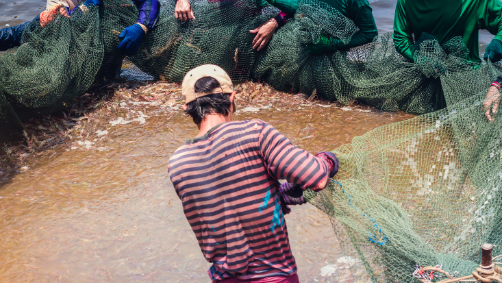 Undercurrent News tweet media