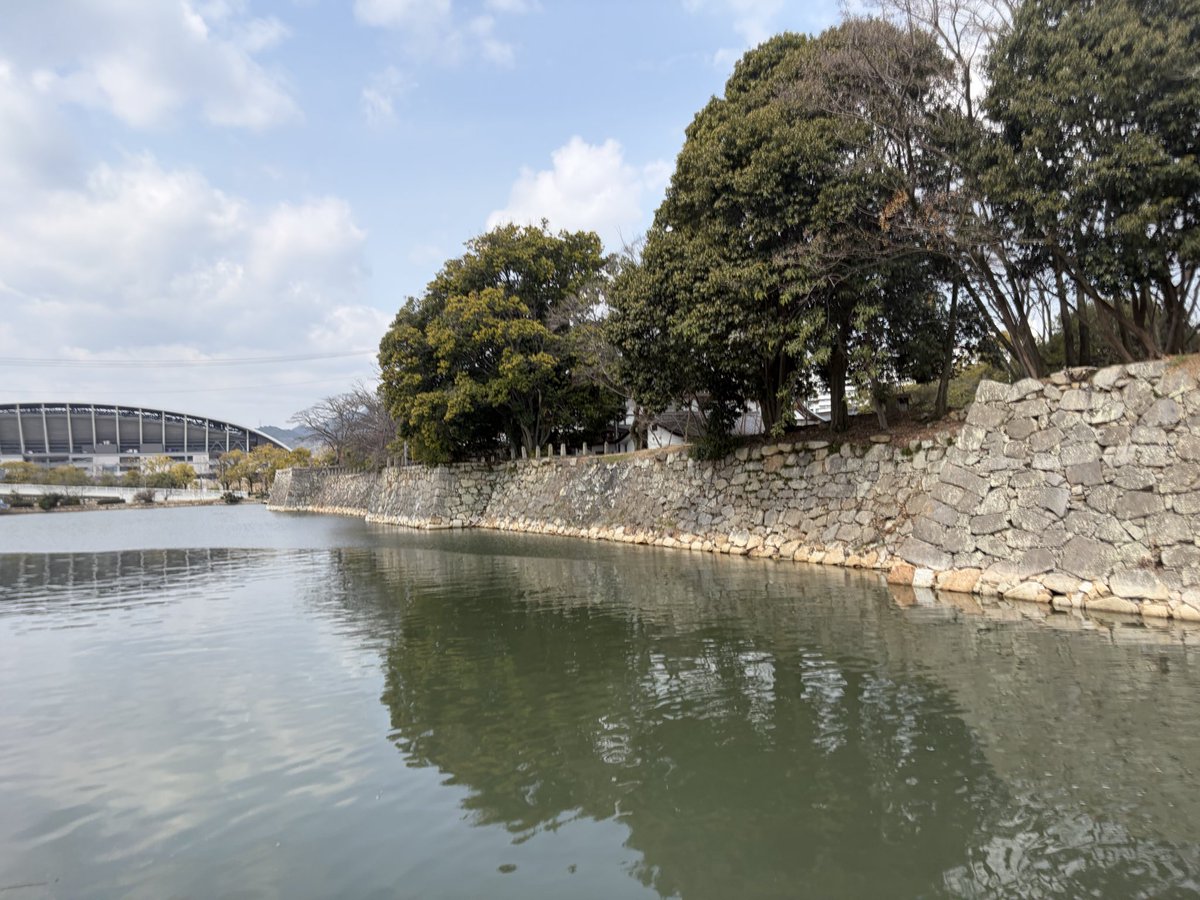 ガンビー（銃蜂） tweet media