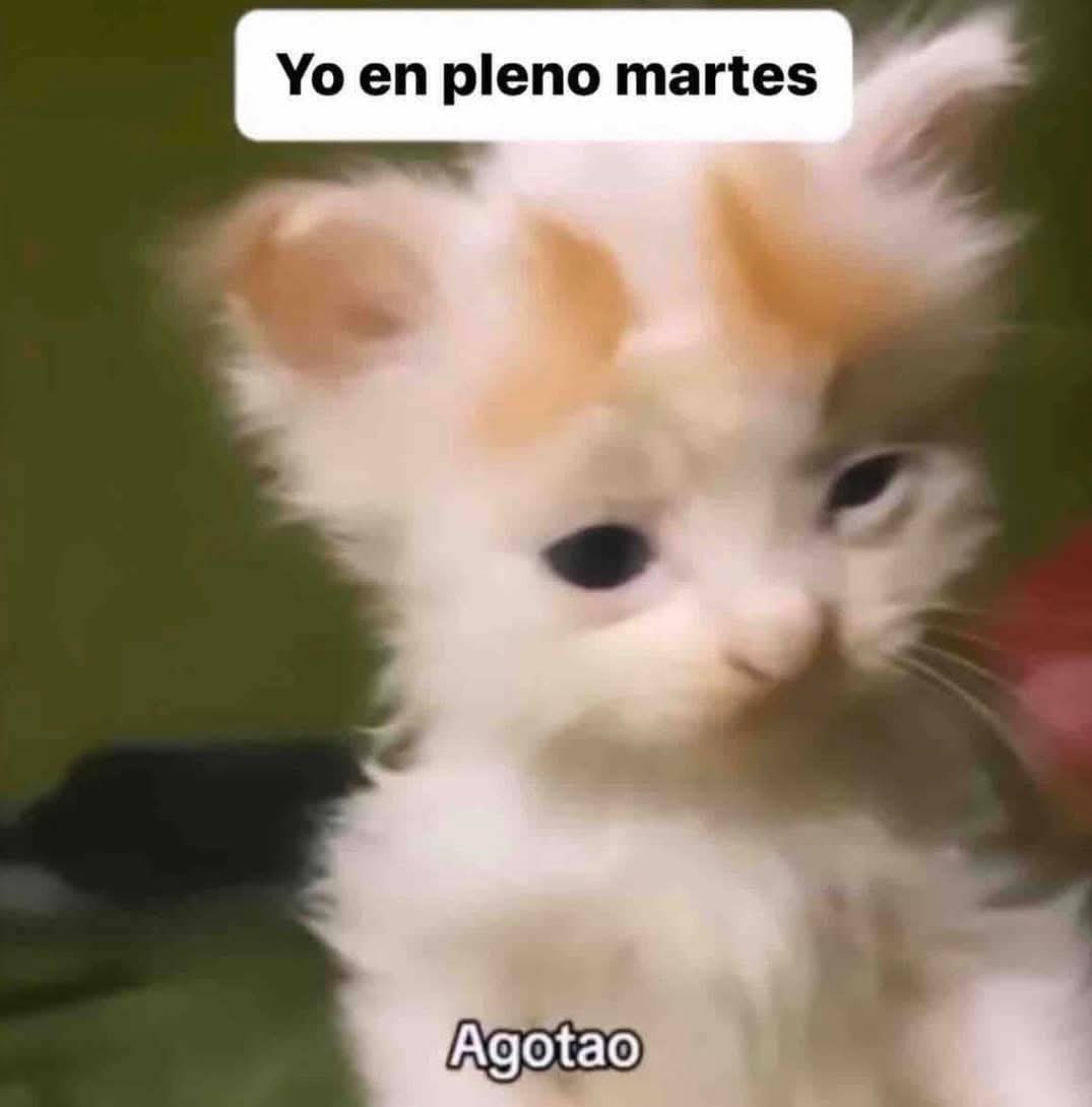 En Júpiter tweet media