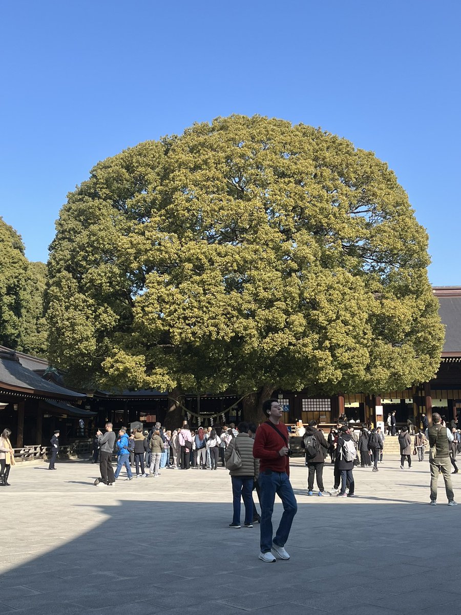 山﨑香@舞台女優 tweet media