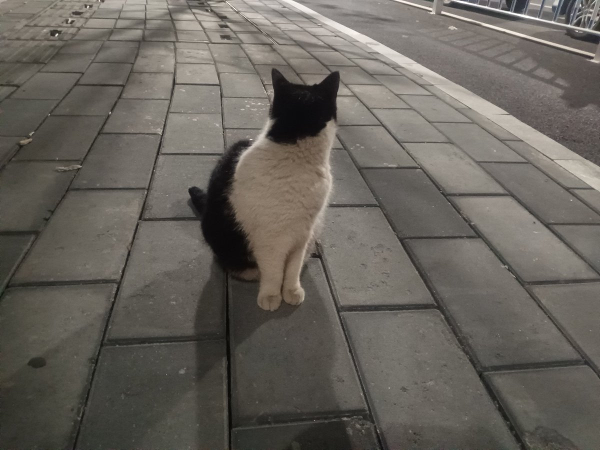 MarkctMeasrto tweet media