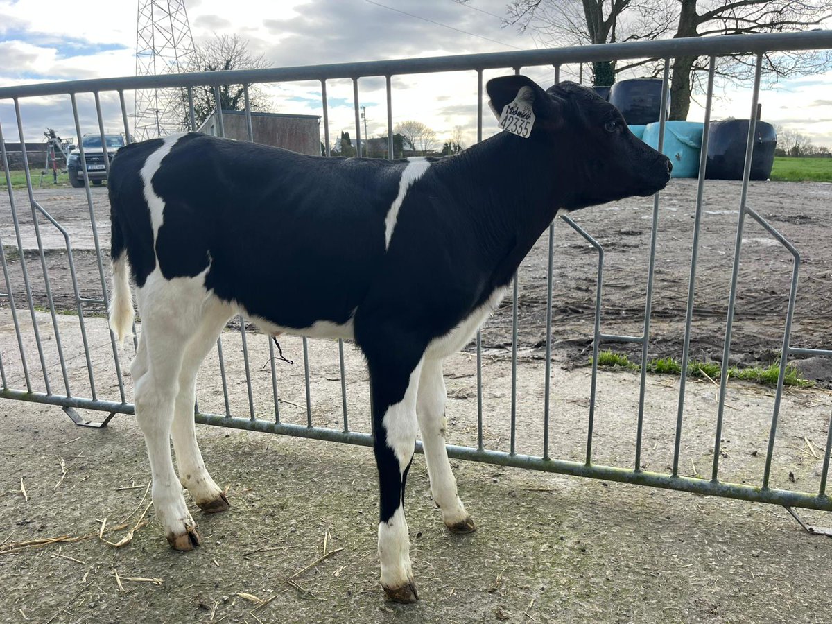 Progressive Genetics tweet media