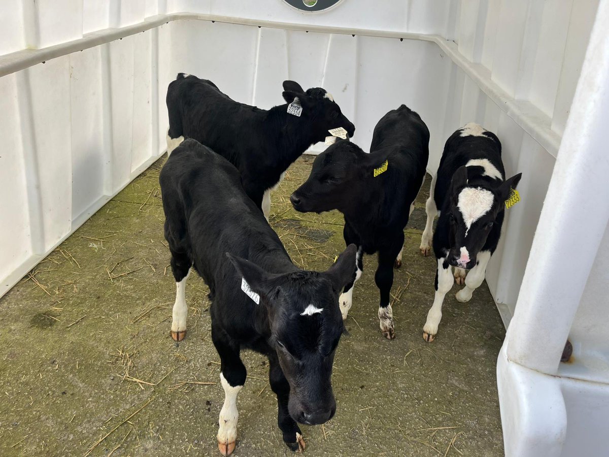 Progressive Genetics tweet media