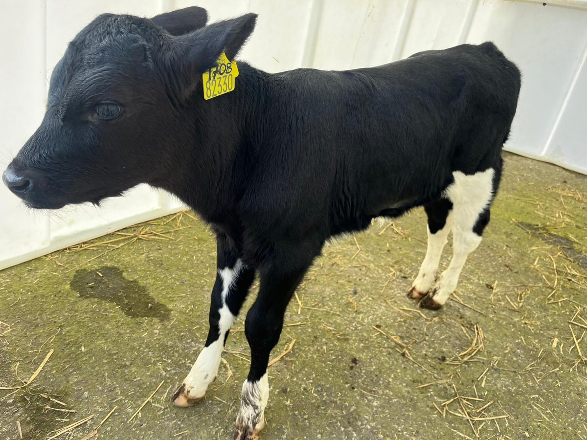 Progressive Genetics tweet media