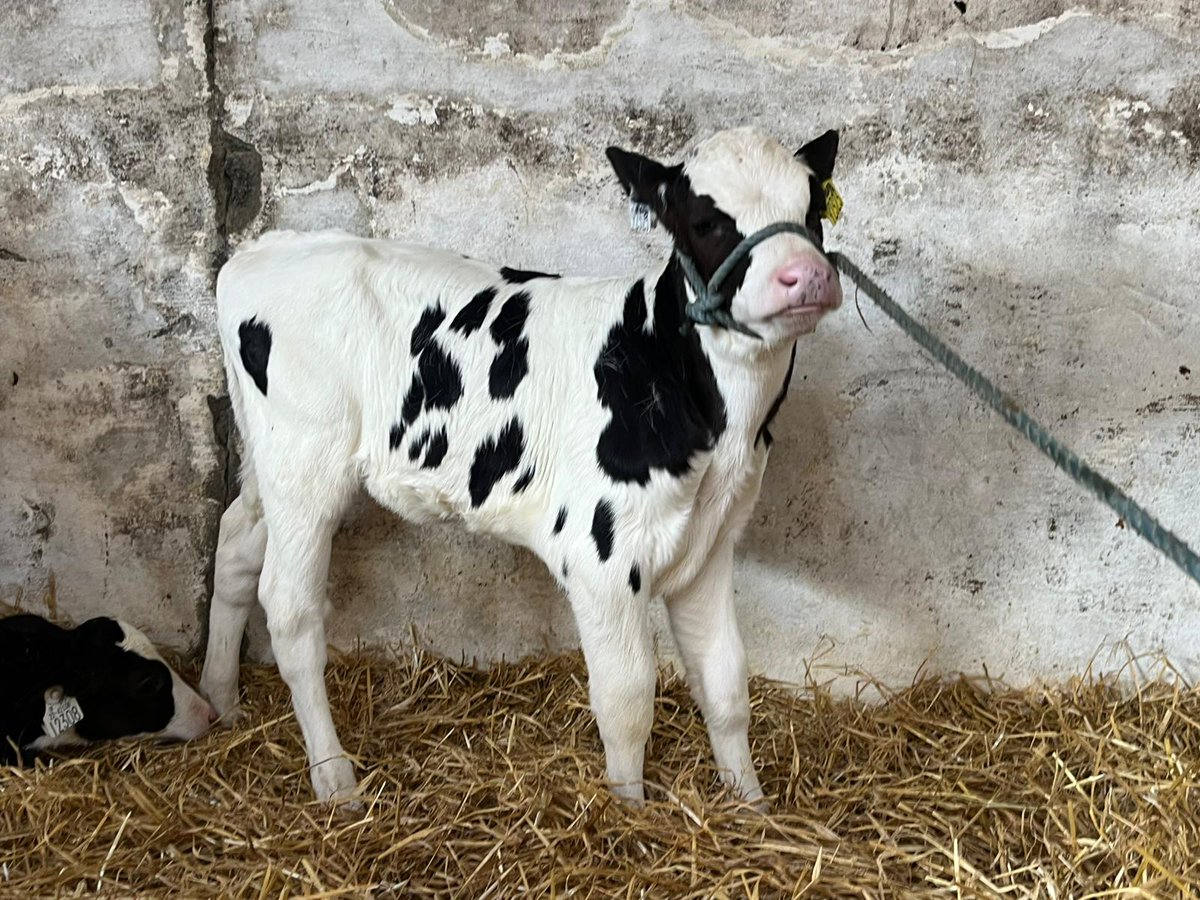 Progressive Genetics tweet media