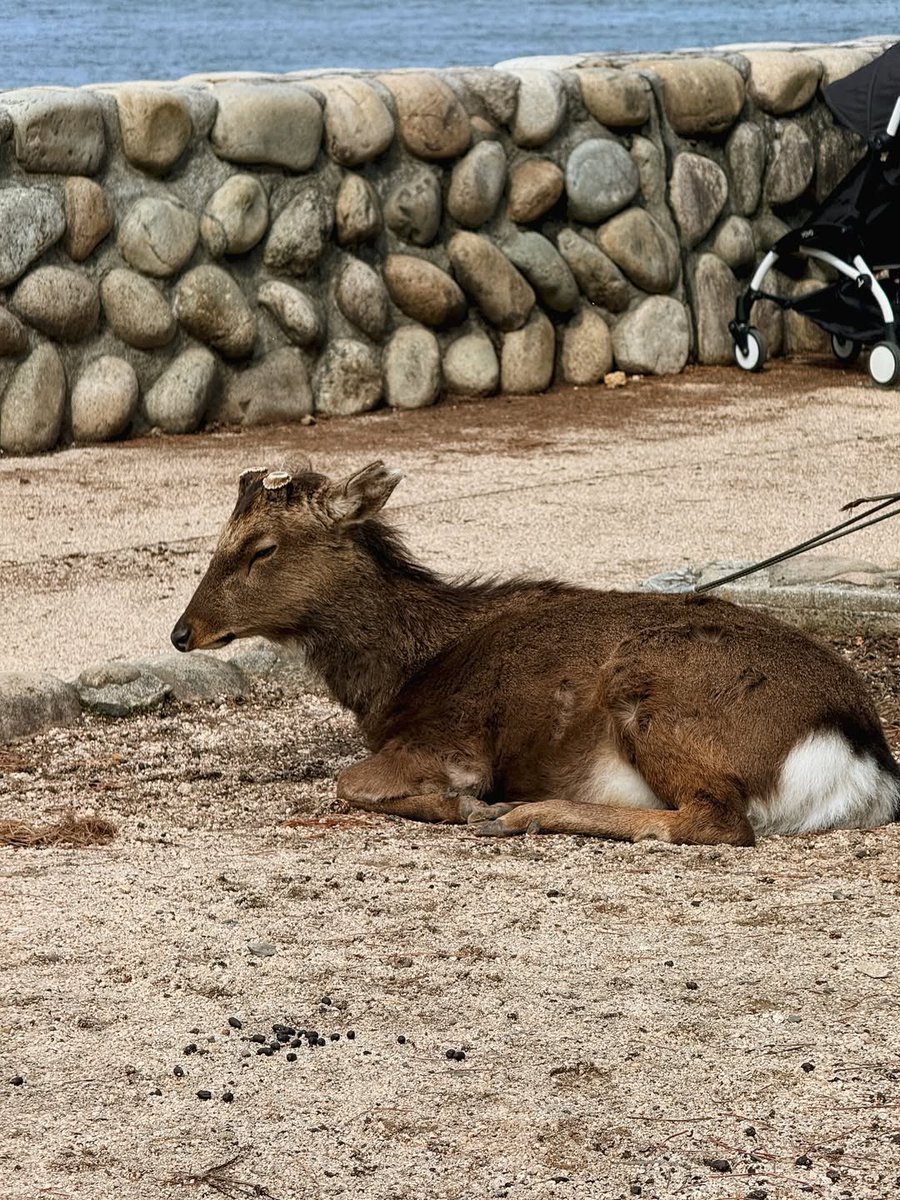 유KWON. tweet media