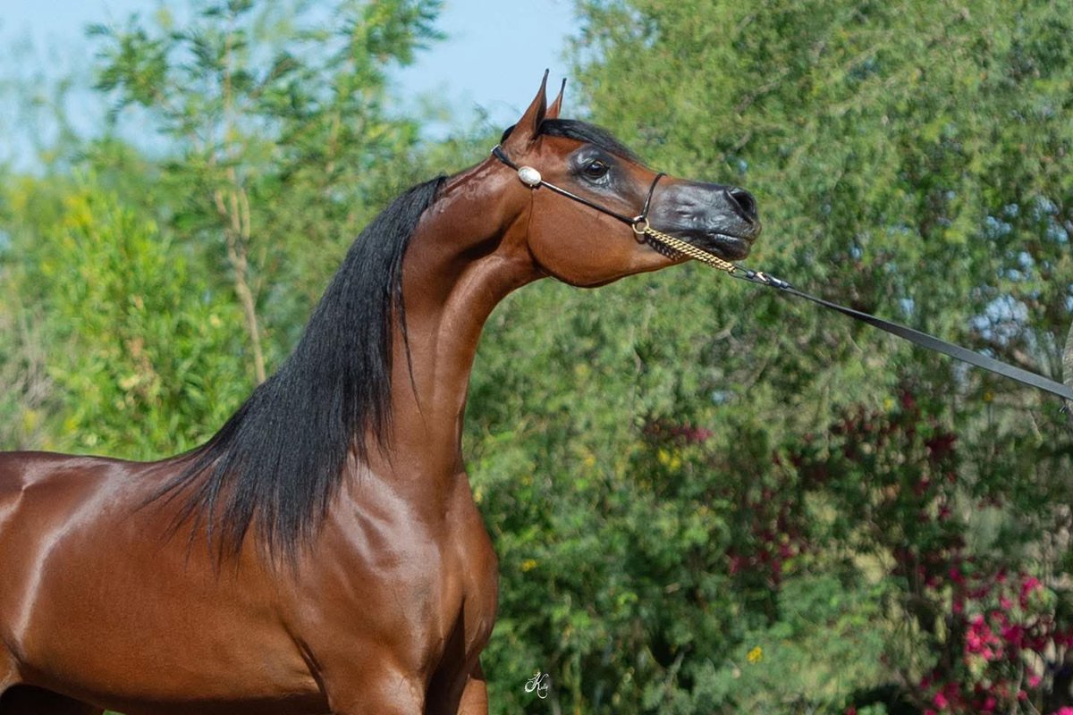 *نسألك اللهم طول العمر، وبركة الرزق، وراحة البال، وقضاء الدين، وانشراح الصدر، ولوالدي الهم والغم، والتوفيق في كل أمورنا، وحسن الختام.*
*اللهم صل وسلم على نبينا وحبيبنا وقدوتنا وشفيعنا وسيدنا محمد وعلى آله وصحبه وسلم.*
*ربنا اغفر لي ولوالدي وللمؤمنين يوم يقوم الحساب.*