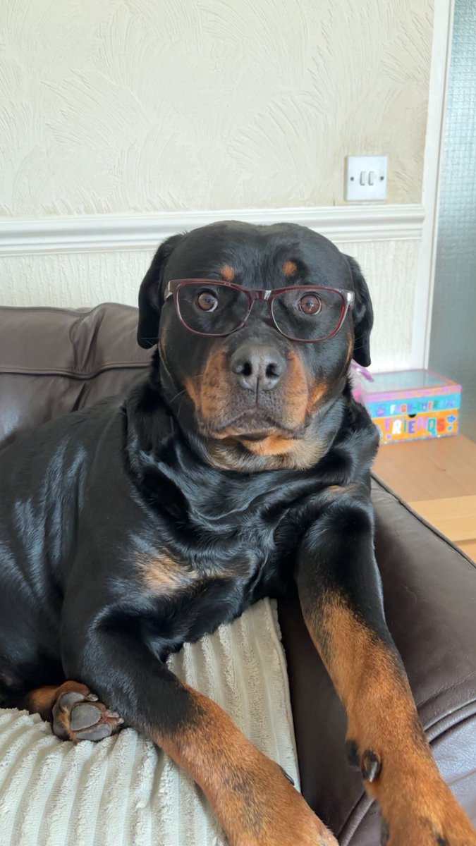 john kita tweet media