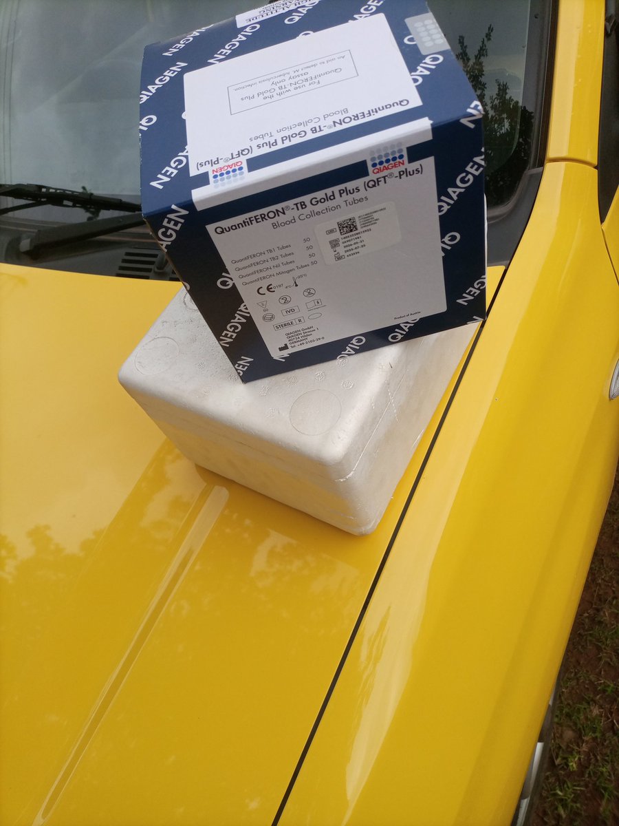 mutasaaga Benjamin ll tweet media